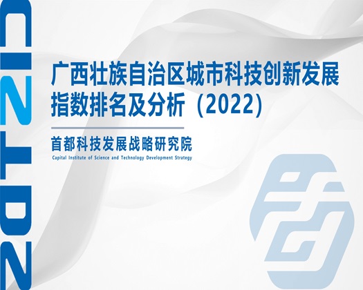 狂cao美女逼【成果发布】广西壮族自治区城市科技创新发展指数排名及分析（2022）